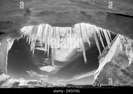 Antarktis, Höhle Eiszapfen hängen von der Mündung des Gletschereis Gerlache Strait entlang der antarktischen Halbinsel Stockfoto