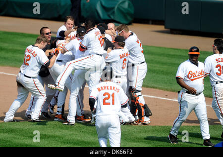 26. Mai 2011 - Baltimore, Maryland, USA - Mitglieder der Baltimore Orioles Schwarm Vladimir Guerrero nach schlug er einem Walk-off-in einem Spiel zwischen den Baltimore Orioles und die Kansas City Royals, die Orioles gewann 6-5 in 12 Innings (Credit-Bild: © TJ Root/Southcreek Global/ZUMApress.com) Stockfoto