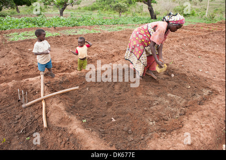 Eine Frau sät Samen in ihrem Gemüsegarten, während ihre beiden Söhne zu sehen. Stockfoto