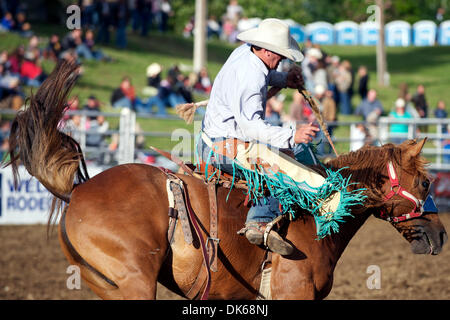 28. Mai 2011 - Marysville, Kalifornien, US - Luke White von Lincoln, CA reitet in Marysville Stampede in Cotton Rosser Arena in Marysville, CA. 54 (Credit-Bild: © Matt Cohen/Southcreek Global/ZUMAPRESS.com) Stockfoto