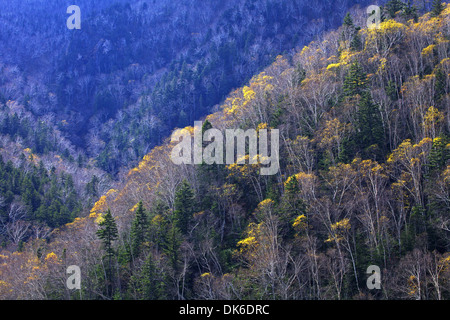 Hokkaido, Japan Stockfoto