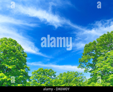 Präfektur Aomori, Japan Stockfoto