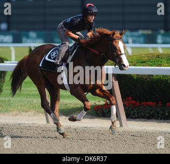 10. Juni 2011 - klappt Elmont, New York, USA - Shackleford, Sieger von den Preakness im Belmont Park für die Belmont Stakes. (Kredit-Bild: © Scott Serio/Eclipse/ZUMAPRESS.com) Stockfoto