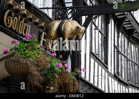 Schafe zu unterzeichnen hängen vom Goldenen Vlies Public House, Pflaster, York, Yorkshire, England, Vereinigtes Königreich, Europa Stockfoto