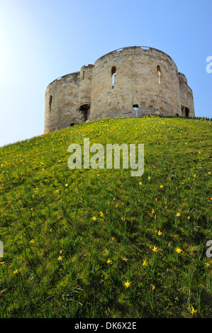 Cliffords Tower, York Castle halten, Yorker, Yorkshire, England, Vereinigtes Königreich, Europa Stockfoto