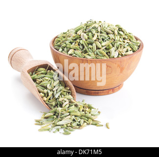 Fenchelsamen isoliert auf weißem Hintergrund Stockfoto