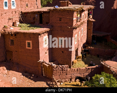 Berber Architektur auf dem Dorf Megdaz Stockfoto