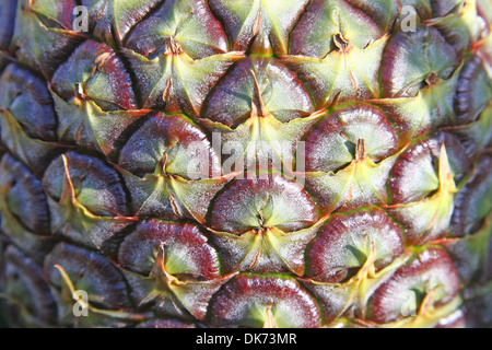 Nahaufnahme von Ananas Haut. Stockfoto