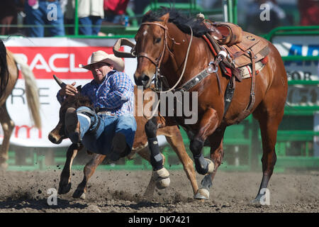 12. Juni 2011 - Livermore, Kalifornien, USA - Steer Ringer Taylor Nahrgang von Buckeye, AZ bei der 93. jährliche Livermore Rodeo im Robertson Park in Livermore, CA konkurriert. (Credit-Bild: © Matt Cohen/Southcreek Global/ZUMAPRESS.com) Stockfoto