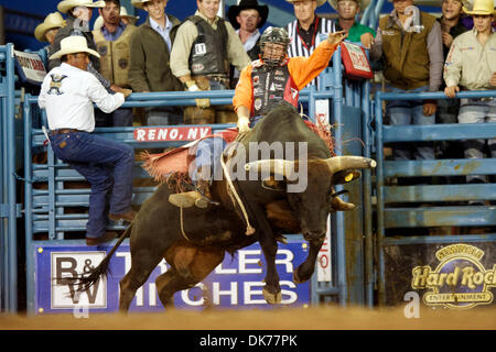 16. Juni 2011 - Reno, Nevada, US - Shawn Hogg von Odessa, TX reitet Punch bei den Seminole Hard Rock Xtreme Bulls Reno Rodeo. (Kredit-Bild: © Matt Cohen/Southcreek Global/ZUMAPRESS.com) Stockfoto