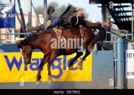 18. Juni 2011 - Reno, Nevada, USA - Jessy Davis Payson, fährt UT kurz Bar beim Reno Rodeo. (Kredit-Bild: © Matt Cohen/Southcreek Global/ZUMAPRESS.com) Stockfoto