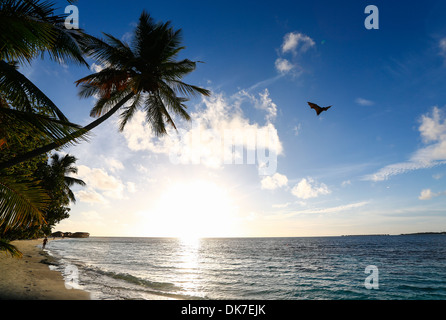 Palmen bei Sonnenuntergang auf einer paradiesischen Bounty Island auf den Malediven Stockfoto