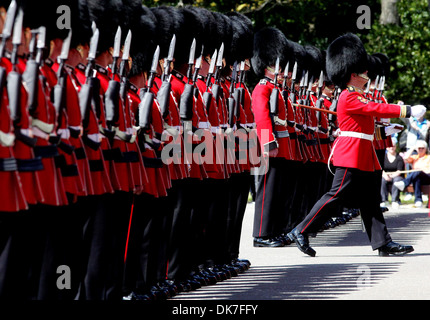 Ehrengarde von Nr. 2 Firma, 1. Bataillon Grenadier Guards. Stockfoto
