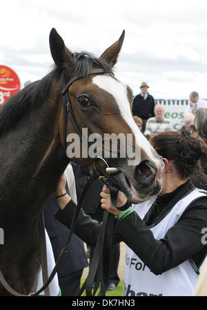 25. Juni 2011 - Newbridge, Kildare, US - Misty für mich (Nr. 8), von Seamie Heffernan geritten und trainiert von Aiden O'Brien, besiegt favorisierte Mittag und gewinnt die Gruppe 1 Pretty Polly Stakes für Fohlen und Stuten drei Jahre alt und nach oben am 25. Juni 2011 auf dem Curragh Pferderennbahn in Newbridge, Kildare, Irland. (Kredit-Bild: © Bob Mayberger/Eclipse/ZUMAPRESS.com) Stockfoto