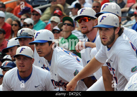 24. Juni 2011 - besiegte Omaha, Nebraska, USA - die Bank bereitet sich auf feiern den Sieg als Florida Florida Vanderbilt 6-4 in der Championship Series der College World Series zu bewegen. (Kredit-Bild: © Steven Branscombe/Southcreek Global/ZUMApress.com) Stockfoto