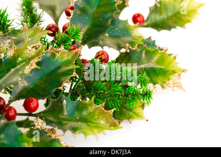 Holly berry Pflanze mit roten Beeren auf weißem Hintergrund, Weihnachtsdekoration. Stockfoto