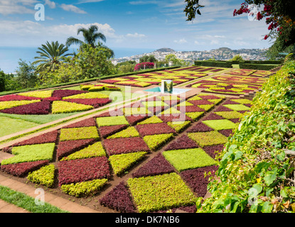 Botanischer Garten Funchal Madeira Stockfoto