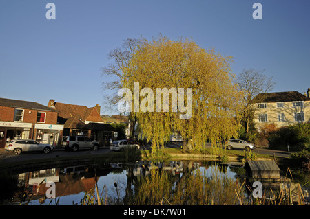 Herbstliche Bäume rund um den Teich im Dorf Otford Kent England Stockfoto