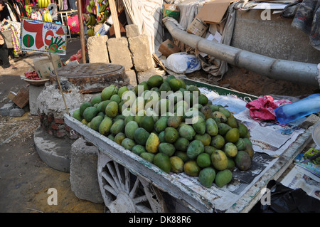 Frische ägyptische Mangos zum Verkauf auf der Straße im islamischen Viertel der Hauptstadt Kairo. Stockfoto