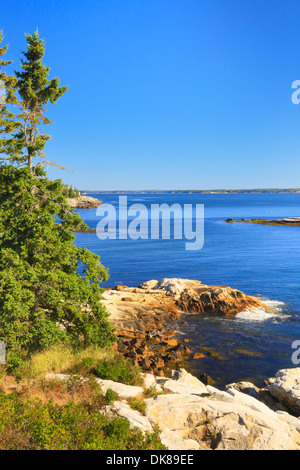 Reid Staatspark, Georgetown, Maine, USA Stockfoto