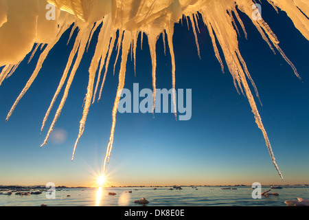 Antarktis, leuchtet Einstellung Mitternachtssonne Eiszapfen hängen von massiven Eisberg in der Nähe von Petermann Island Stockfoto