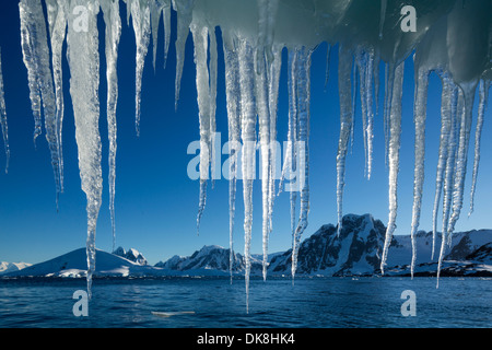 Antarktis, hängt Eiszapfen von schmelzenden Eisberg vom Petermann Island in der Nähe von Lemaire-Kanal Stockfoto