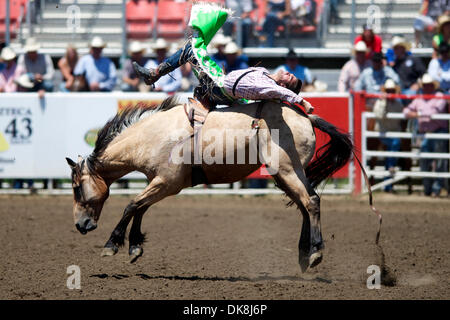 24. Juli 2011 - Salinas, Kalifornien, USA - Caleb Bennett von Morgan, UT reitet Angriff während der kurzen Runde bei der California Rodeo Salinas in Salinas, CA. (Credit-Bild: © Matt Cohen/Southcreek Global/ZUMAPRESS.com) Stockfoto