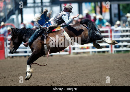 24. Juli 2011 - Salinas, Kalifornien, USA - Dave Worsfold von Queensland, AU Fahrten Danged wenn Sie tun, während die kurze Runde in Kalifornien Rodeo Salinas in Salinas, CA. (Credit-Bild: © Matt Cohen/Southcreek Global/ZUMAPRESS.com) Stockfoto