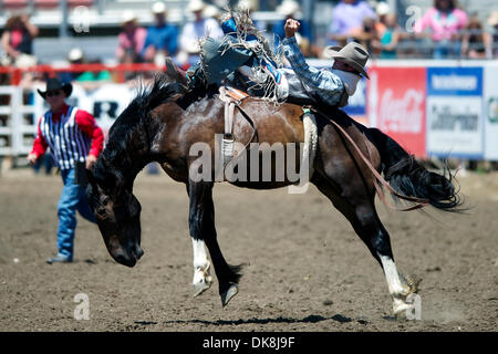 24. Juli 2011 - Salinas, Kalifornien, USA - Dave Worsfold von Queensland, AU Fahrten Danged wenn Sie tun, während die kurze Runde in Kalifornien Rodeo Salinas in Salinas, CA. (Credit-Bild: © Matt Cohen/Southcreek Global/ZUMAPRESS.com) Stockfoto