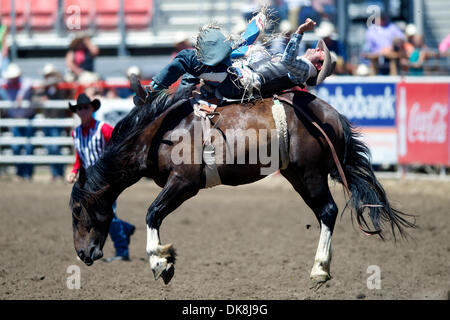 24. Juli 2011 - Salinas, Kalifornien, USA - Dave Worsfold von Queensland, AU Fahrten Danged wenn Sie tun, während die kurze Runde in Kalifornien Rodeo Salinas in Salinas, CA. (Credit-Bild: © Matt Cohen/Southcreek Global/ZUMAPRESS.com) Stockfoto