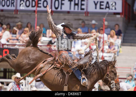 25. Juli 2011 - führt Cheyenne, Wyoming, USA - Rodeo - JAKE WRIGHT im Sattel Bronc Reiten Wettbewerb während der Cheyenne Frontier Days, der weltweit größte outdoor-Rodeo mit über 1.500 Teilnehmern und eine Annäherung an $ 1 Million Preisgeld. Jetzt im 115. Jahr bietet dieser westlichen Feier eine einzigartige Kombination von PRCA Rodeo Tagesaktivitäten und Abendkonzerte mit t Stockfoto