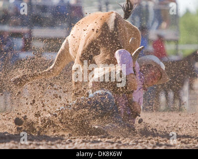 25. Juli 2011 - führt Cheyenne, Wyoming, USA - Rodeo - TYLER HAUGEN im Steer Wrestling Wettbewerb während der Cheyenne Frontier Days, der weltweit größte outdoor-Rodeo mit über 1.500 Teilnehmern und eine Annäherung an $ 1 Million Preisgeld. Jetzt im 115. Jahr bietet dieser westlichen Feier eine einzigartige Kombination von PRCA Rodeo Tagesaktivitäten und Abendkonzerte mit Top- Stockfoto