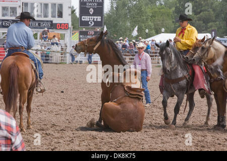 25. Juli 2011 - nimmt Cheyenne, Wyoming, USA - Rodeo - A Sattel Bronc eine Auszeit bei Cheyenne Frontier Days, der weltweit größte outdoor-Rodeo mit über 1.500 Teilnehmern und eine Annäherung an $ 1 Million Preisgeld. Jetzt im 115. Jahr bietet dieser westlichen Feier eine einzigartige Kombination von PRCA Rodeo Tagesaktivitäten und Abendkonzerte mit hochkarätigen Acts. (Bild Kredit: Stockfoto