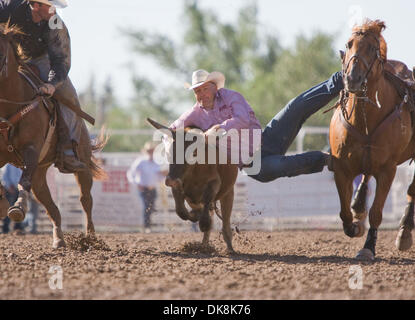 25. Juli 2011 - führt Cheyenne, Wyoming, USA - Rodeo - TYLER HAUGEN im Steer Wrestling Wettbewerb während der Cheyenne Frontier Days, der weltweit größte outdoor-Rodeo mit über 1.500 Teilnehmern und eine Annäherung an $ 1 Million Preisgeld. Jetzt im 115. Jahr bietet dieser westlichen Feier eine einzigartige Kombination von PRCA Rodeo Tagesaktivitäten und Abendkonzerte mit Top- Stockfoto