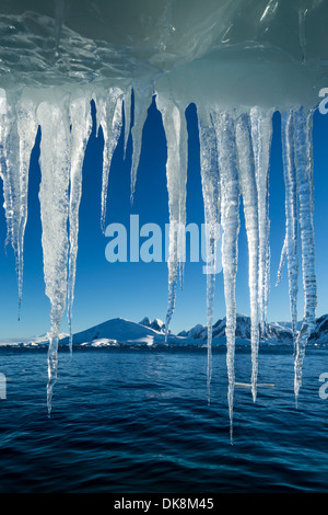 Antarktis, hängt Eiszapfen von schmelzenden Eisberg vom Petermann Island in der Nähe von Lemaire-Kanal Stockfoto