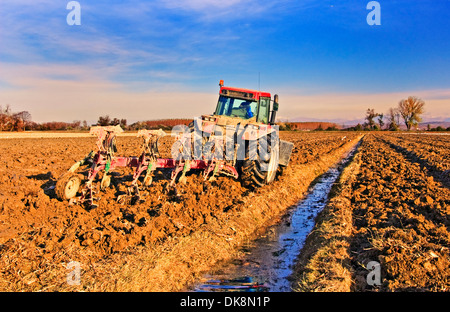 Traktor das Feld vor der Aussaat vorbereiten Stockfoto