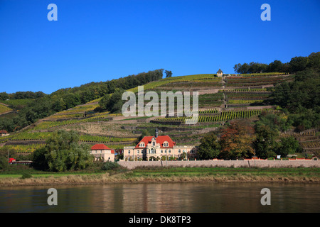 Blick über den Fluss Elbe an Weinbergen in der Nähe von Meißen, Sachsen, Deutschland Stockfoto