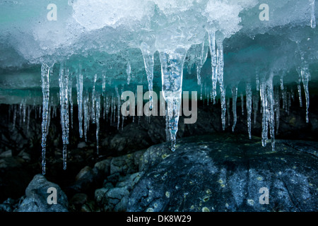 Antarktis, Cuverville Island, Eiszapfen hängen vom Eis Dach entlang Küste Stockfoto