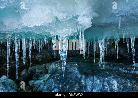 Antarktis, hängen kleine Eiszapfen von Eis Dach bei Flut Linie entlang der Küstenlinie auf Cuverville Island Stockfoto