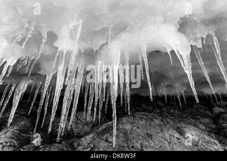 Antarktis, Cuverville Island, Eiszapfen hängen vom Eis Dach entlang Küste Stockfoto