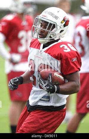 3. August 2011 - Flagstaff, Arizona, USA - Arizona Cardinals Runningback LaRod Stephens-heulen (36) läuft mit dem Ball während Training camp Nachmittag am Northern Arizona University in Flagstaff, Arizona. (Kredit-Bild: © Chris Pondy/Southcreek Global/ZUMAPRESS.com) Stockfoto