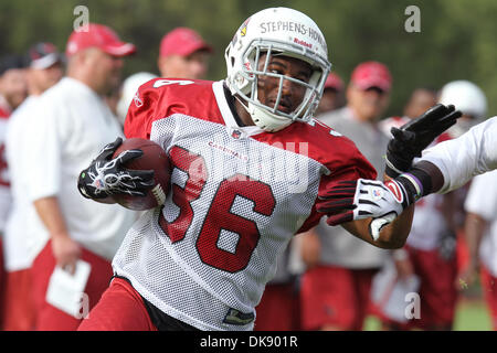 3. August 2011 - Flagstaff, Arizona, USA - Arizona Cardinals Runningback LaRod Stephens-heulen (26) Open den Arm eine defensive Spieler, wie er einen Schnitt während eines nachmittags Praxis bei Northern Arizona University in Flagstaff, Arizona macht. (Kredit-Bild: © Chris Pondy/Southcreek Global/ZUMAPRESS.com) Stockfoto