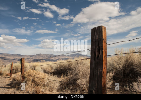 Zaun mit Stacheldraht Fechten in Hochwüste des Westens mit blauen Himmel und geschwollenen Wolken. Stockfoto