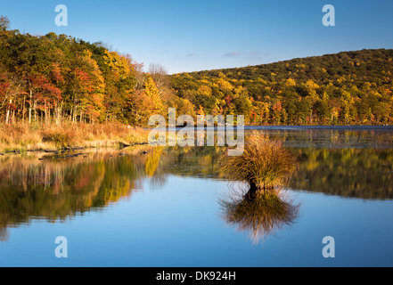 Farben des Herbstes Laub spiegelt sich in Mine im Silbersee (UpState New York) an einem sonnigen Nachmittag. Stockfoto