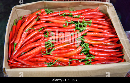 frische Chilis für Verkauf in Chinatown in Bangkok, Thailand Stockfoto