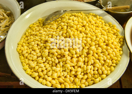 frischer Mais zu verkaufen in Chinatown in Bangkok, Thailand Stockfoto