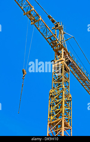 Detail eines gelben Kranichs mit Haken vor blauem Himmel Stockfoto