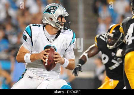 1. September 2011 - Charlotte, North Carolina, USA - Carolina Panthers quarterback Derek Anderson (3 Tropfen zurück, während die Vorsaison Spiel übergeben. Steelers besiegen die Panthers 33-17 bei der Bank of America Stadium in Charlotte, North Carolina. (Kredit-Bild: © Anthony Barham/Southcreek Global/ZUMAPRESS.com) Stockfoto