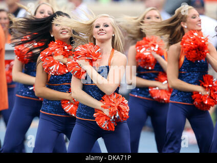 3. September 2011 - Charlottesville, Virginia - USA; Virginia Cavaliers Tänzer während der NCAA Football-Spiel gegen William & Mary im Scott-Stadium. Virginia gewann 40-3. (Kredit-Bild: © Andrew Shurtleff/ZUMApress.com) Stockfoto