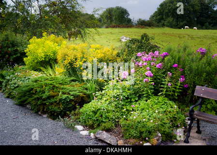 Kleine Blume Ziergarten auf Plattform am Minffordd Bahnhof auf der Schmalspurbahn wieder in North Wales UK Stockfoto